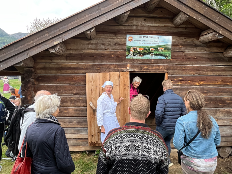 Guida tur på Dyrskun