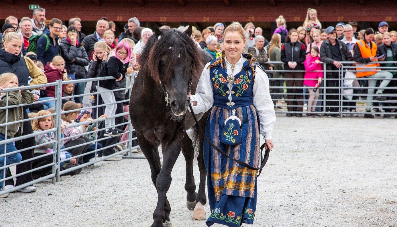 I 2022 viste Odd Herakles seg frem på Dyrsku’n sammen med Josefine Eilertsen. Foto: Hesteguiden.com