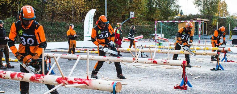 Motorsagshow på Skogtunet