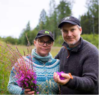 Trøndelag sankeri. Foto: Tun Byrå